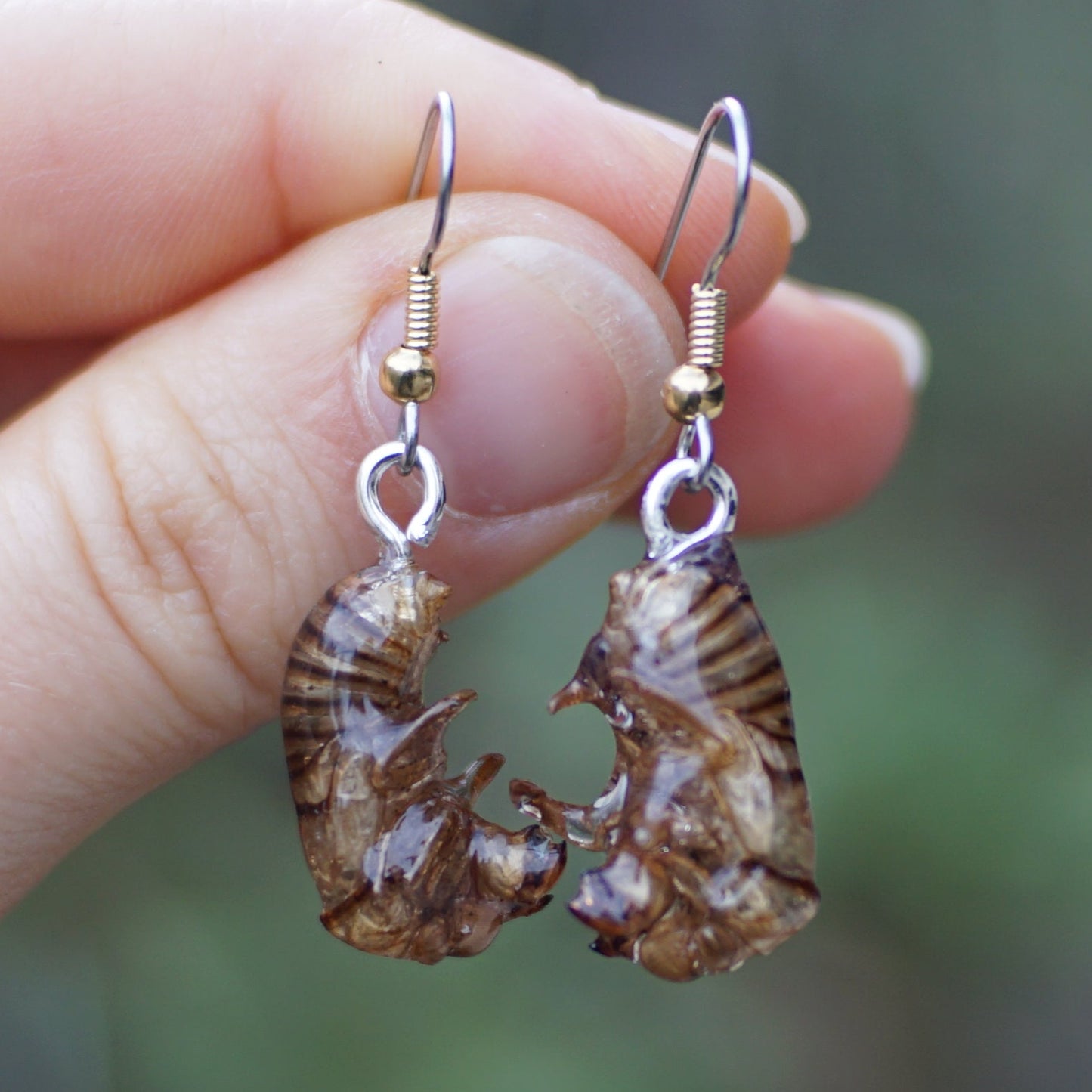 Cicada Husk Earrings