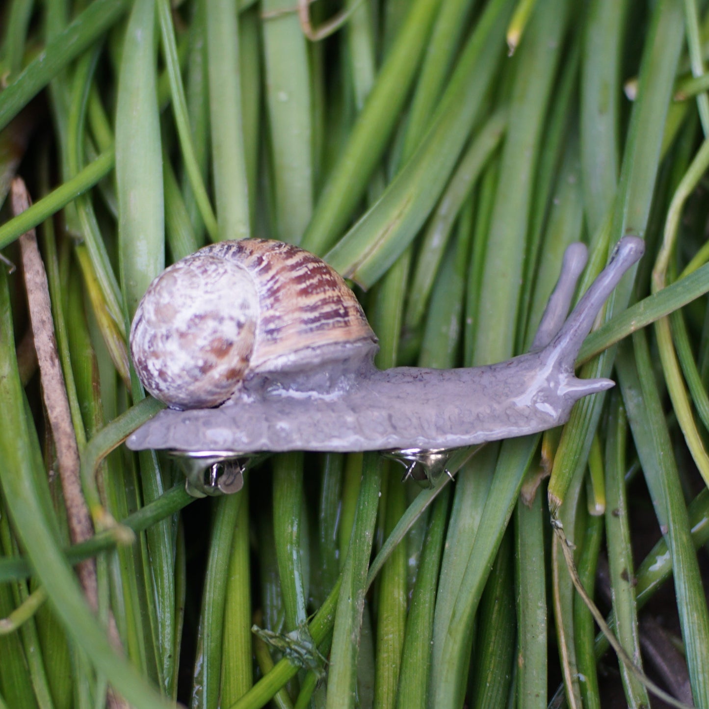 Snail Pin