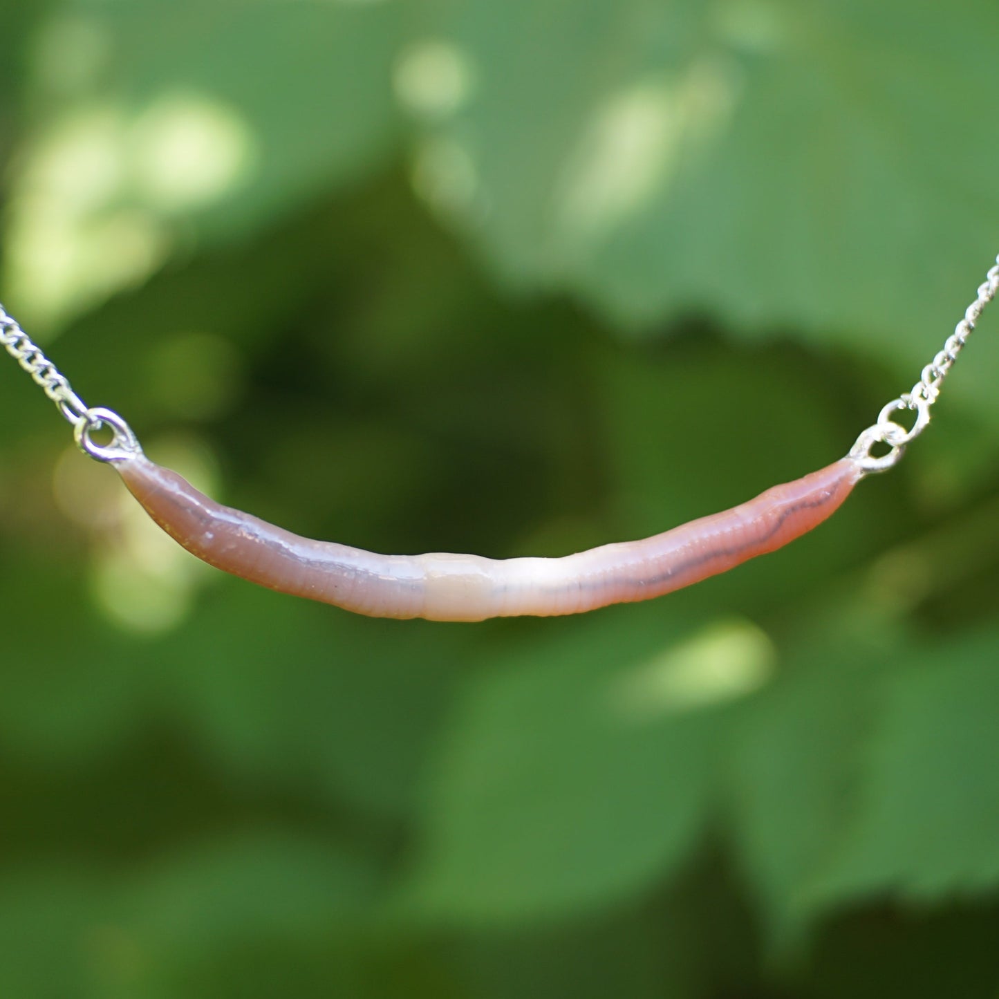 Long Worm Necklace (2 Styles)