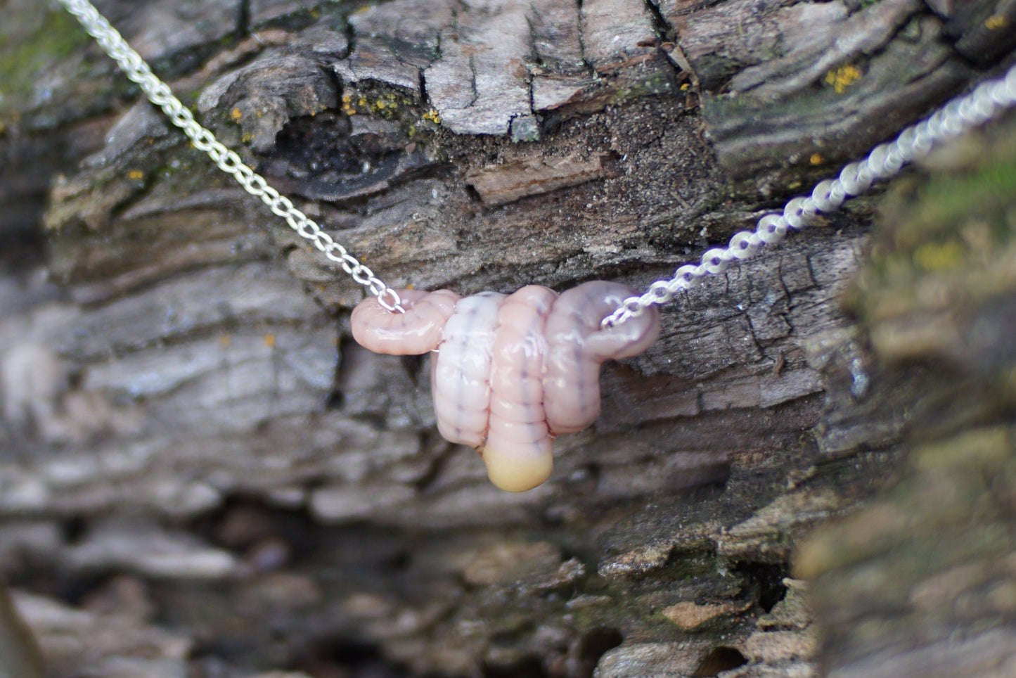 Worm Coil Necklace