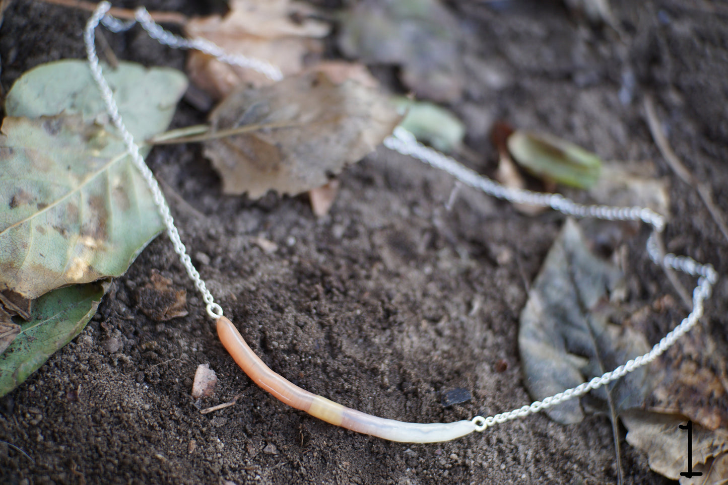 Long Worm Necklace