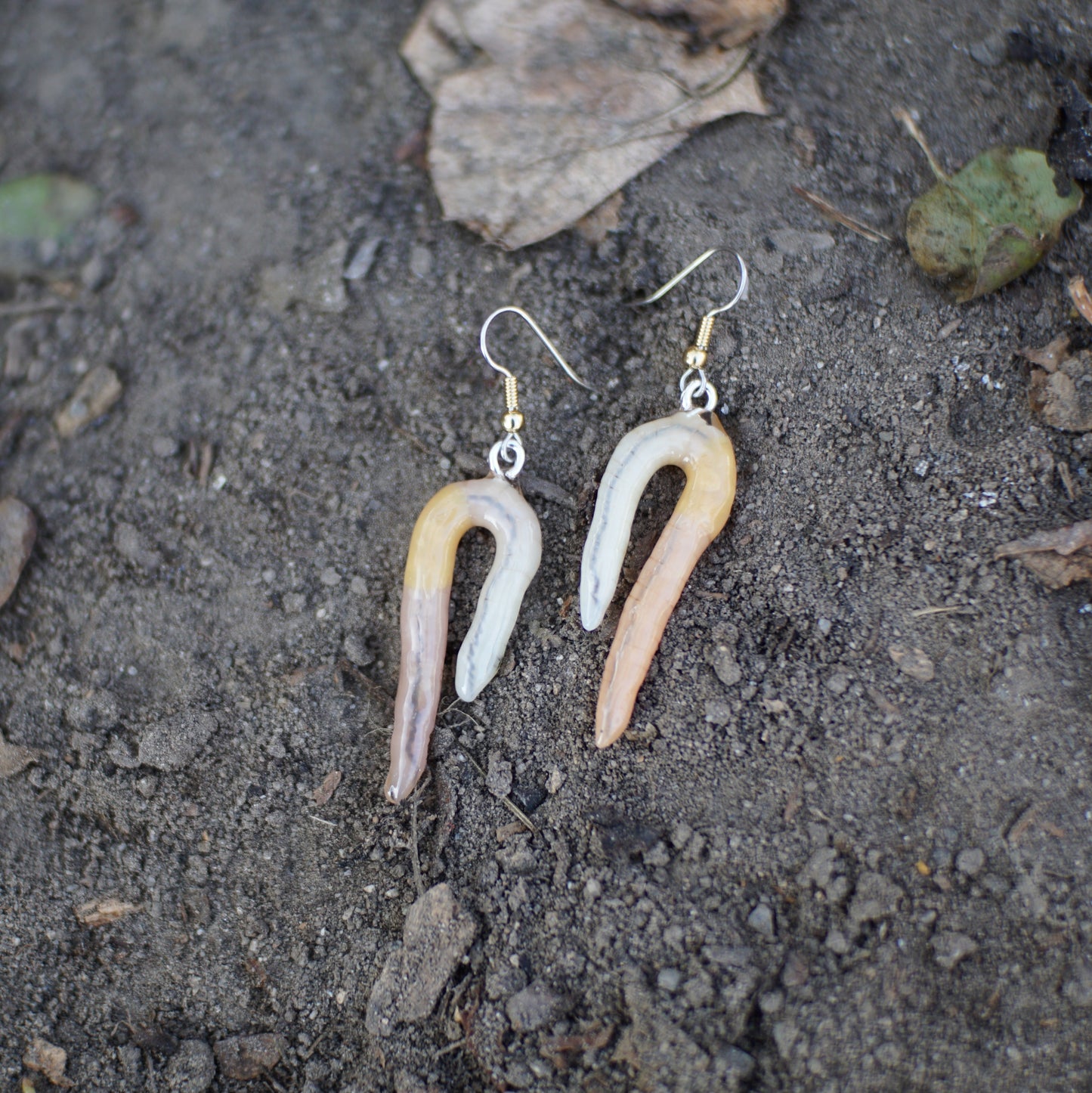 Folded Worm Earrings