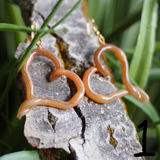 Worms in Love Earrings