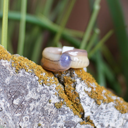 Amethyst Ring Worm