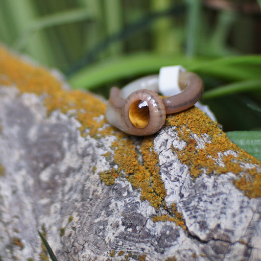 Tigers Eye Ring Worm