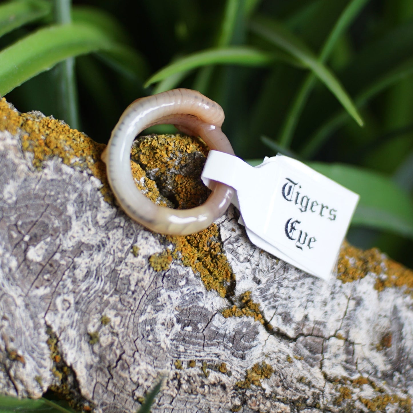 Tigers Eye Ring Worm