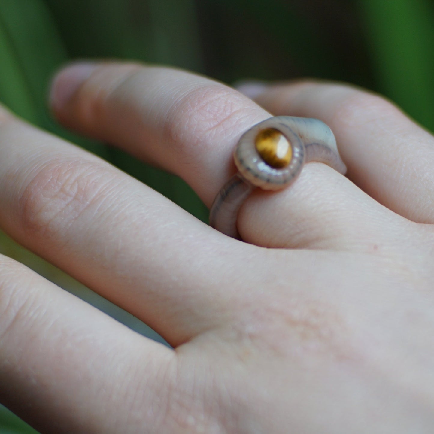 Tigers Eye Ring Worm