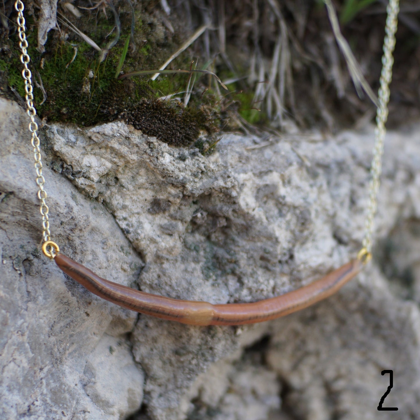 Long Worm Necklace