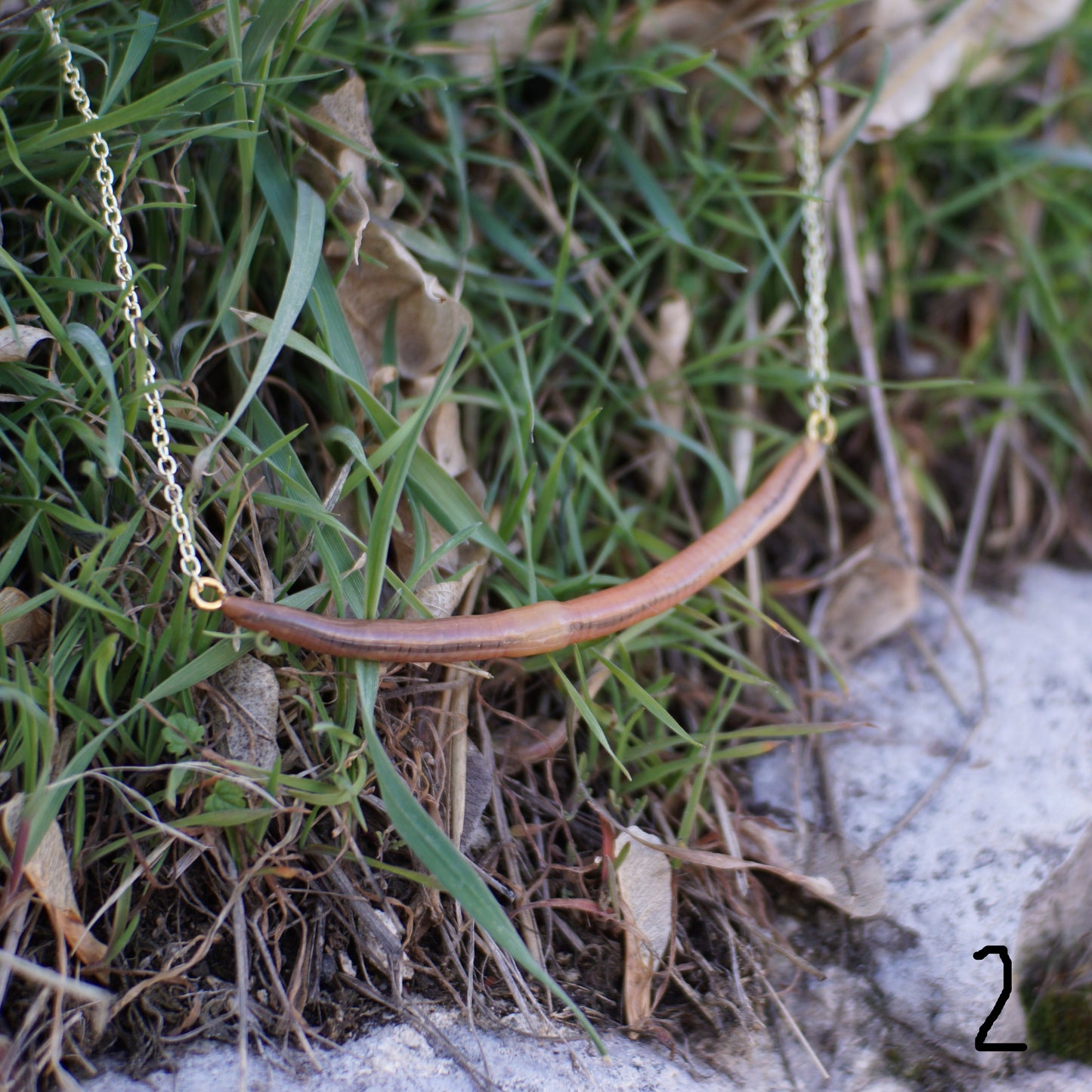 Long Worm Necklace