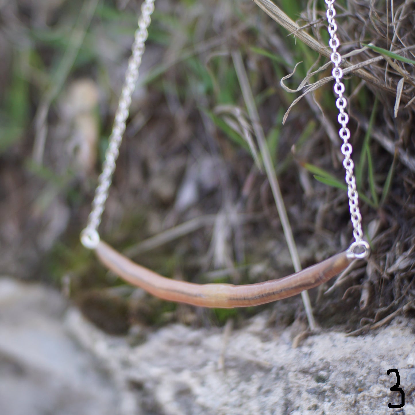 Long Worm Necklace