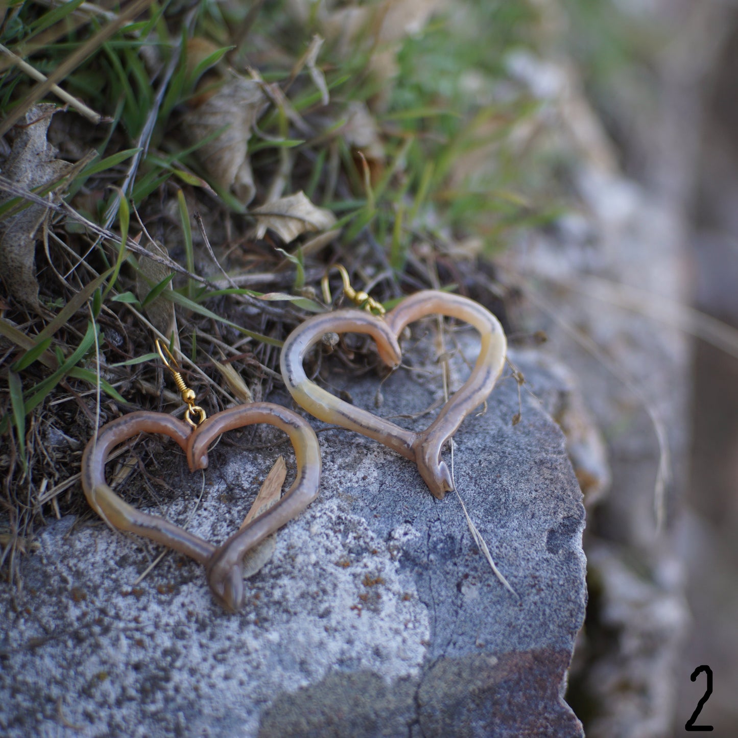 Worms in Love Earrings