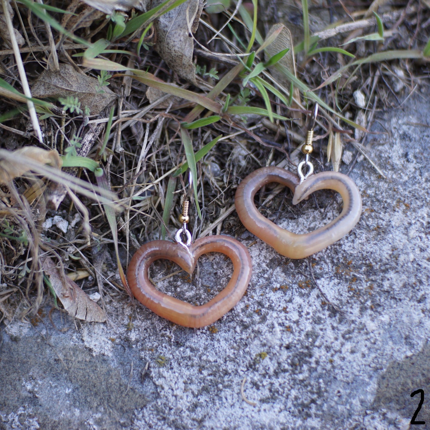 Centered Heart Worm Earrings