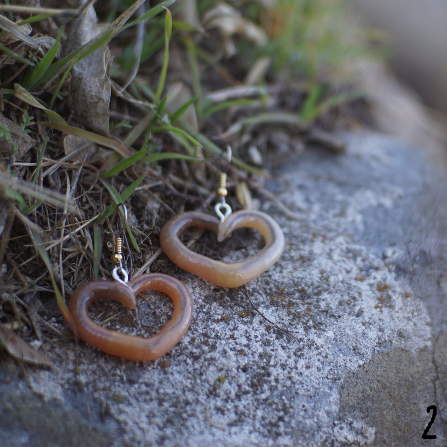 Centered Heart Worm Earrings