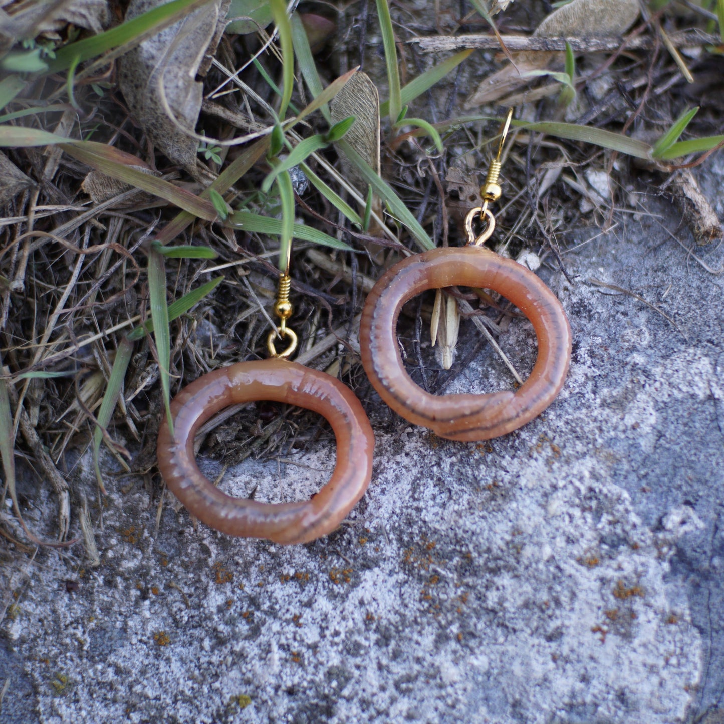 Worm Hoop Earrings