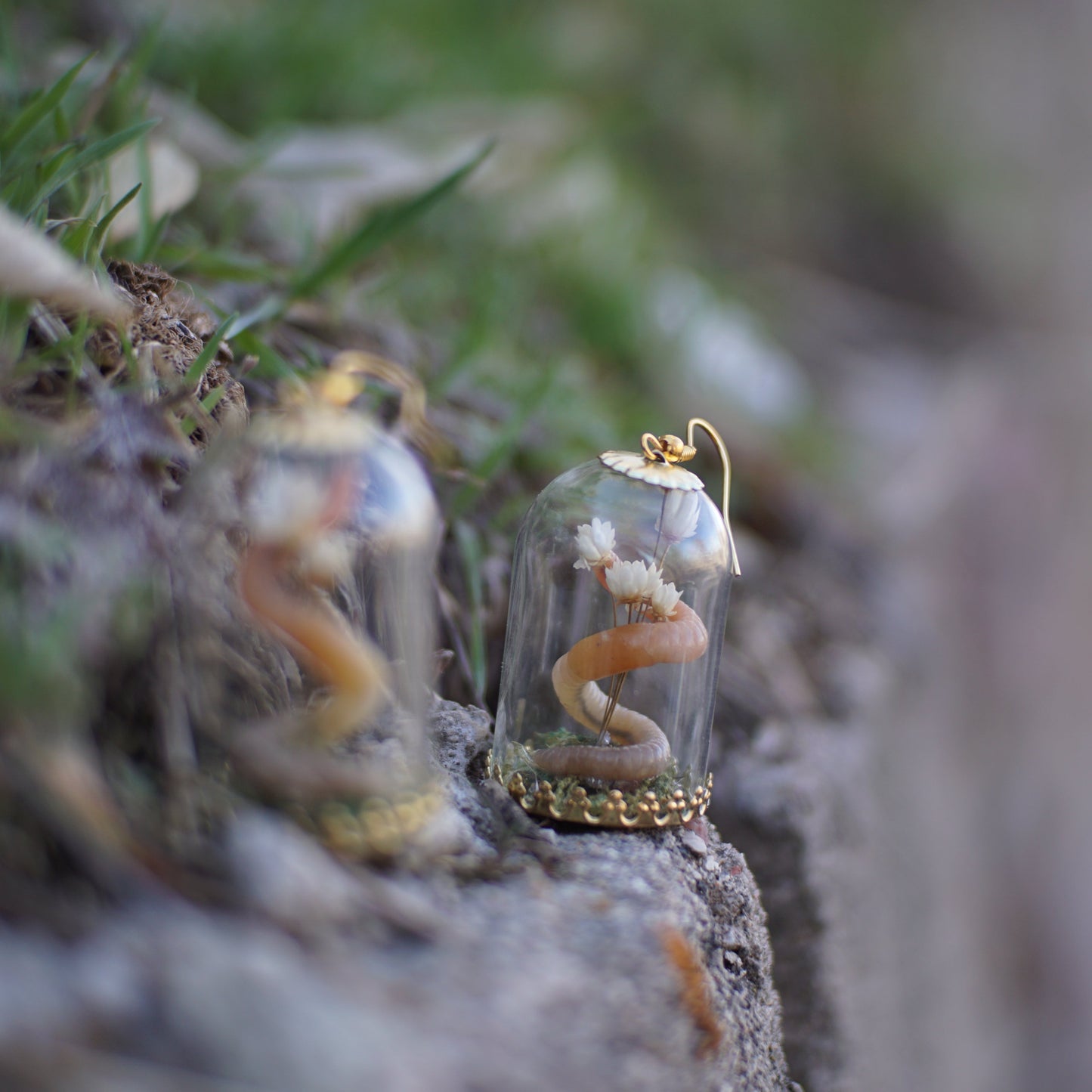 Worm Bouquet Dome Display Earrings