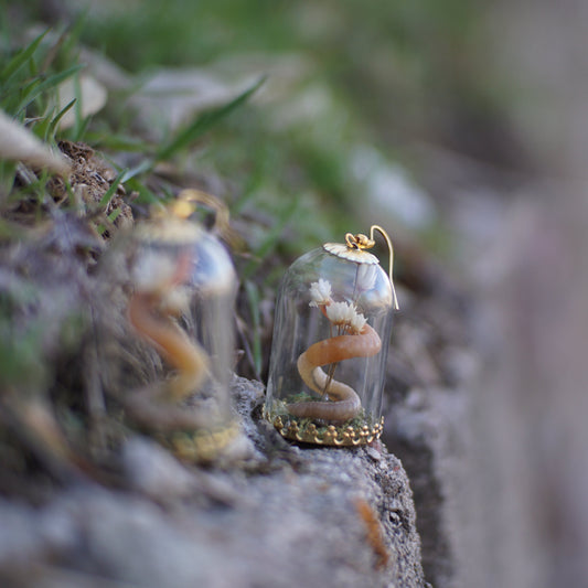 Worm Bouquet Dome Display Earrings