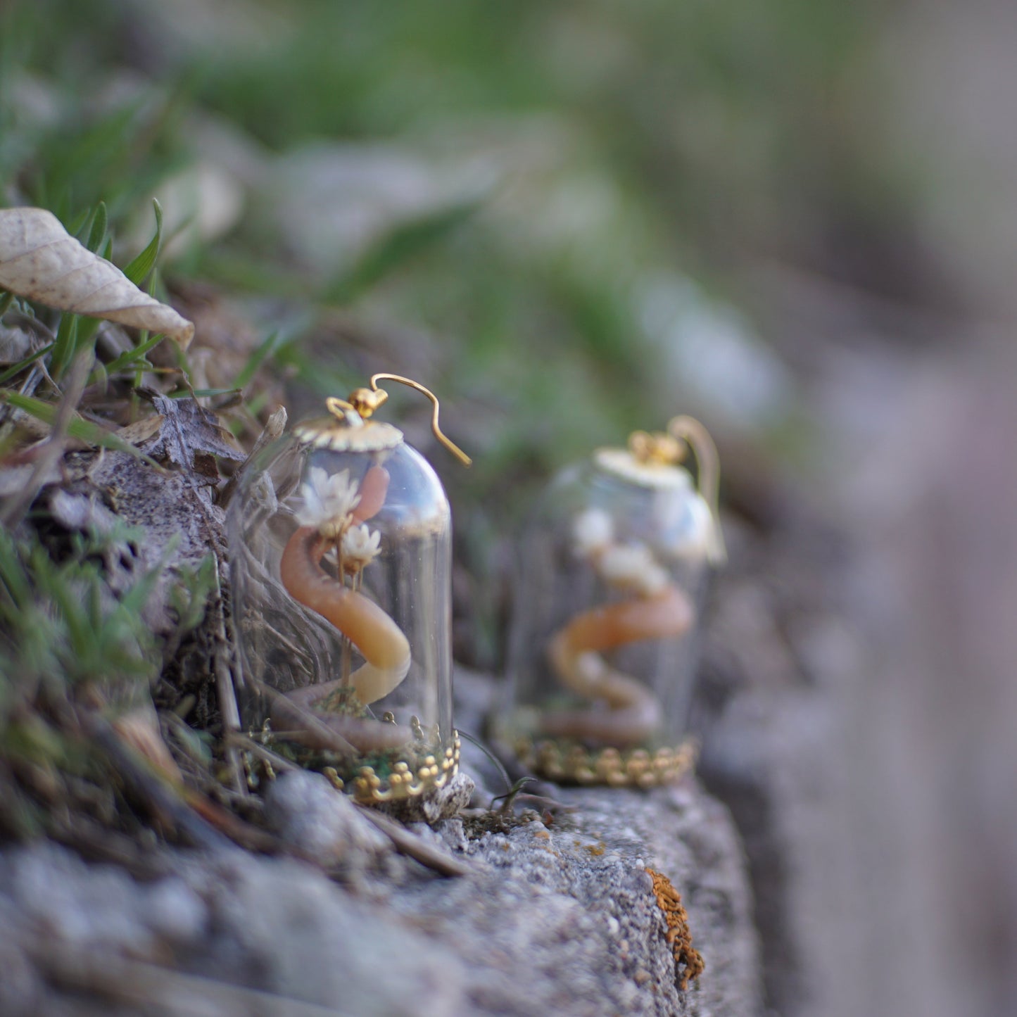 Worm Bouquet Dome Display Earrings