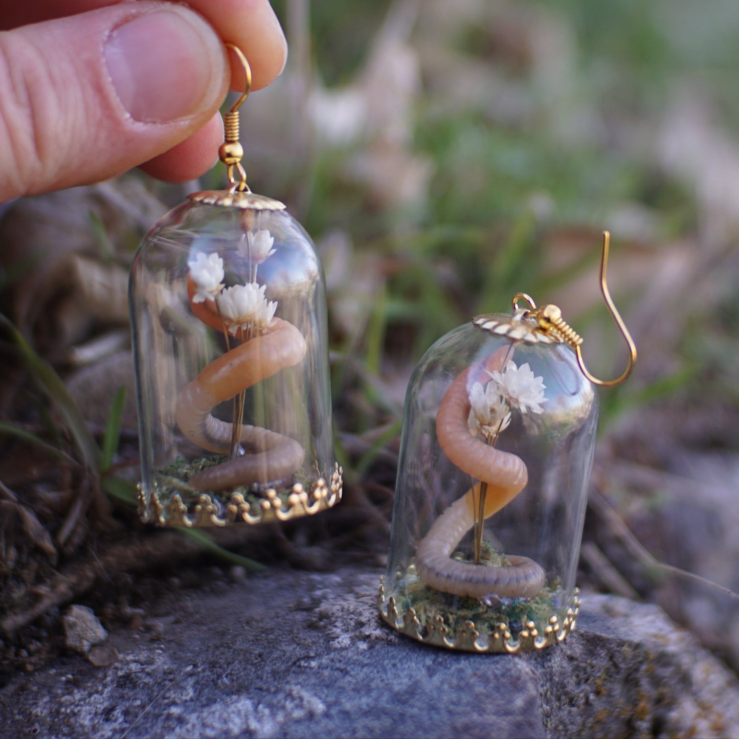 Worm Bouquet Dome Display Earrings