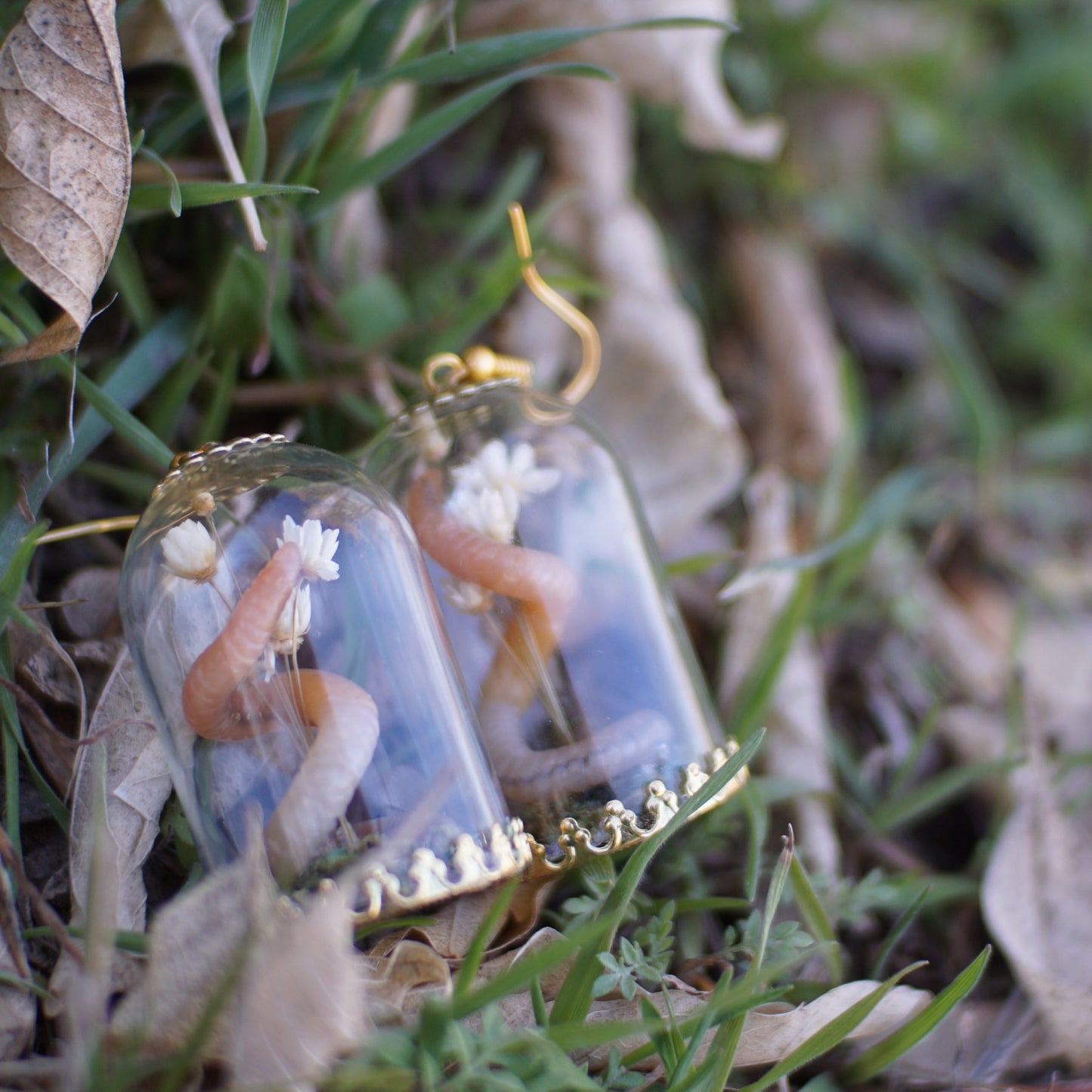 Worm Bouquet Dome Display Earrings