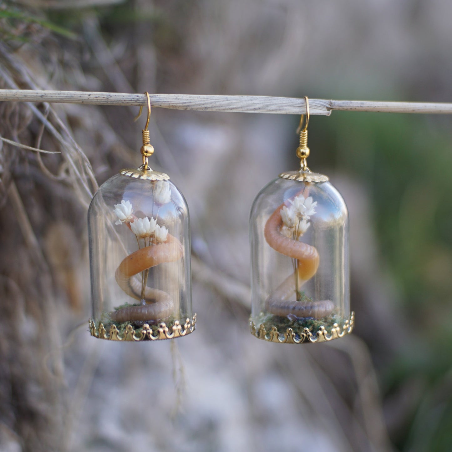 Worm Bouquet Dome Display Earrings