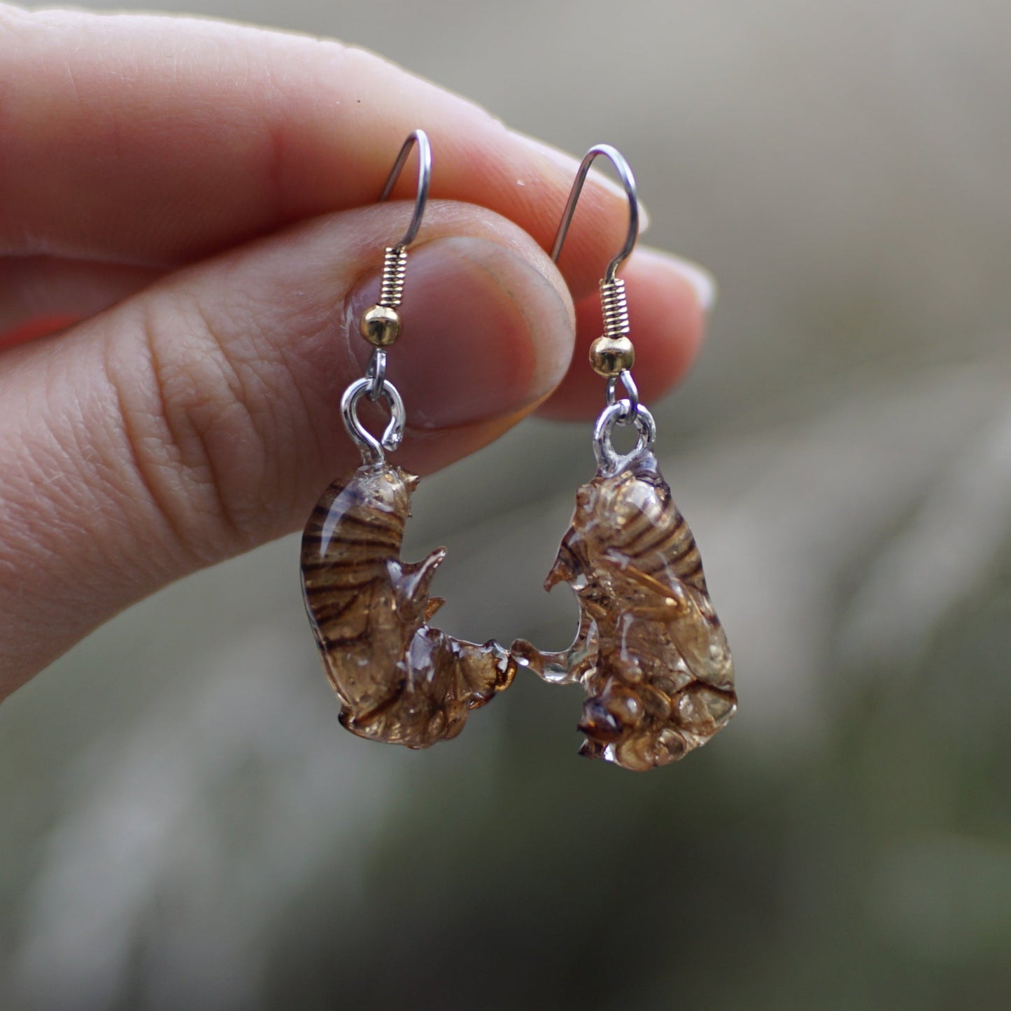 Cicada Husk Earrings