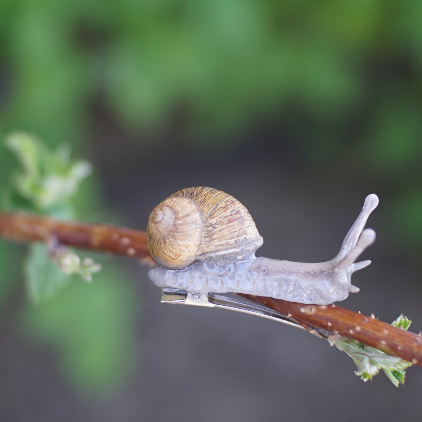 Snail Clip