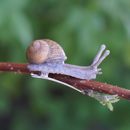 Snail Clip