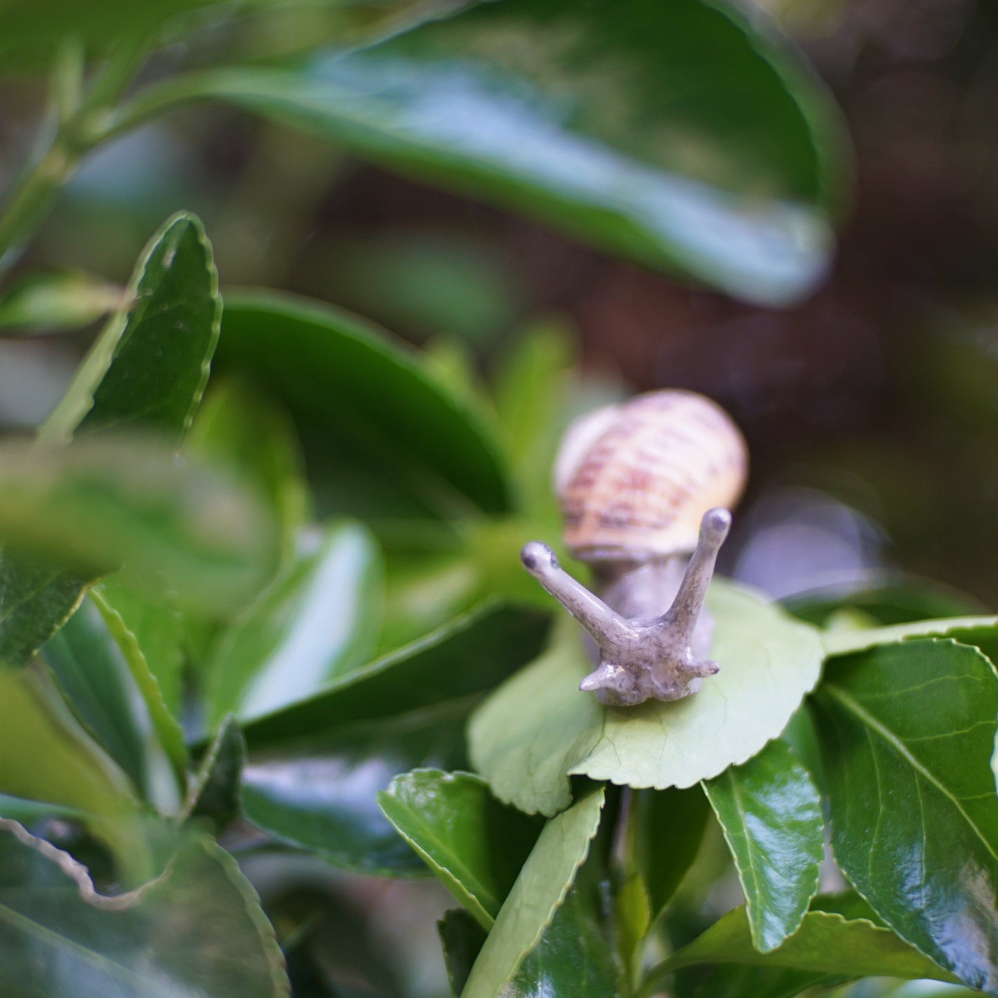 Snail Pin