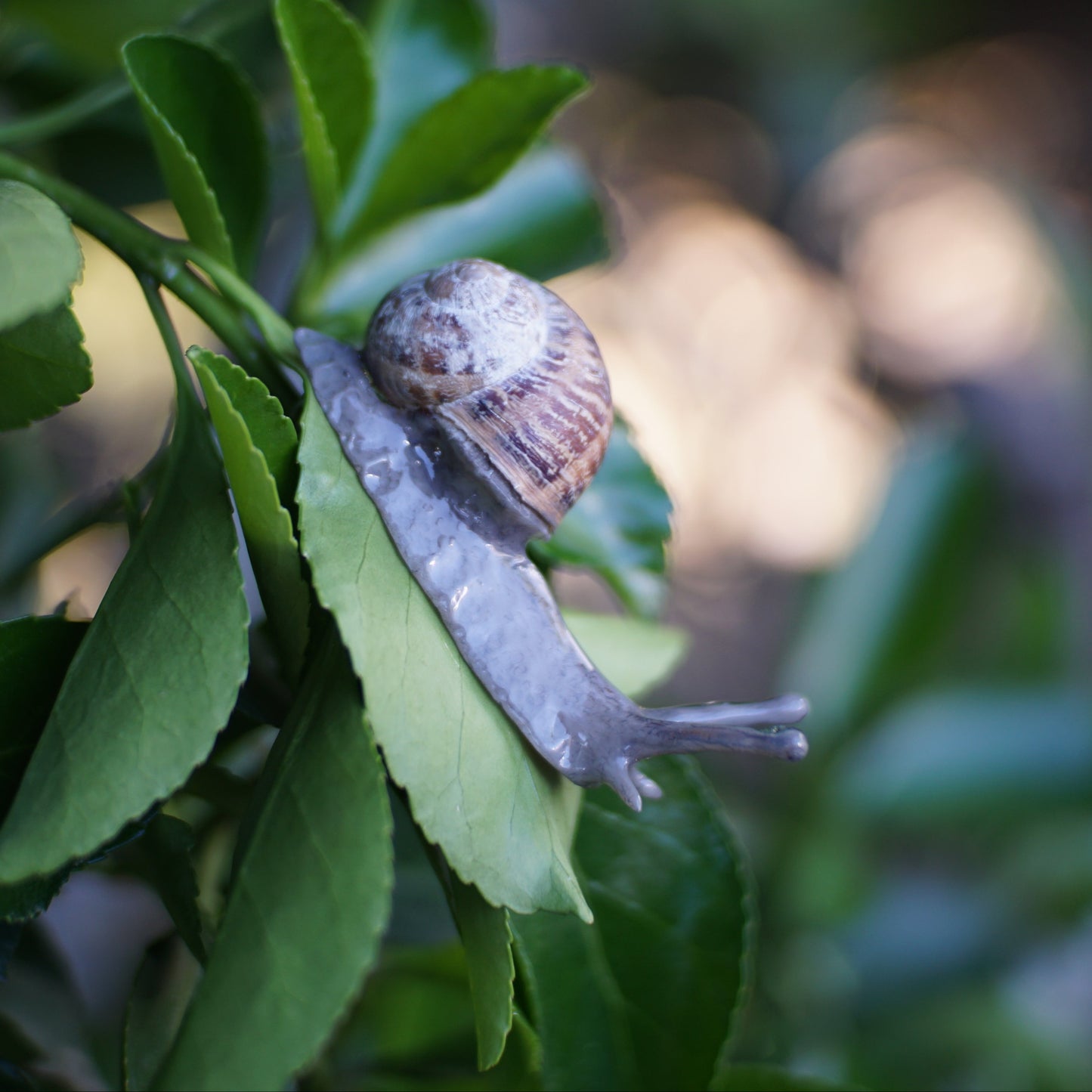 Snail Pin