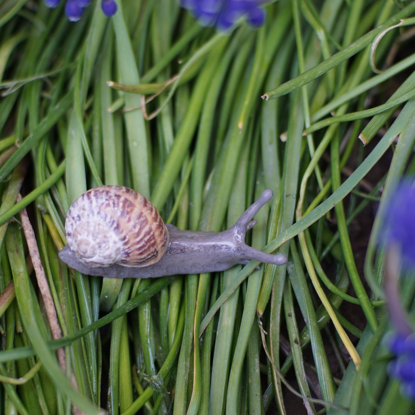 Snail Pin