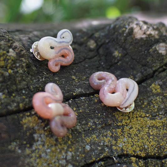 Worm Brooch (3 Styles)