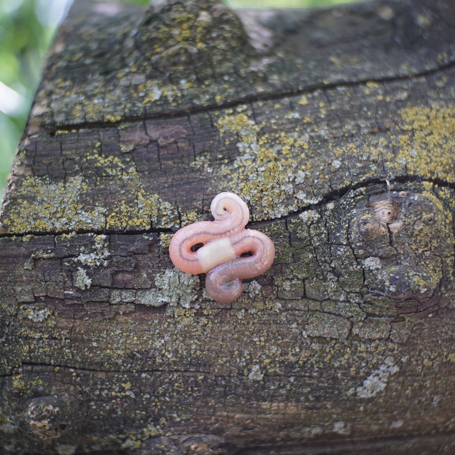 Worm Brooch (3 Styles)