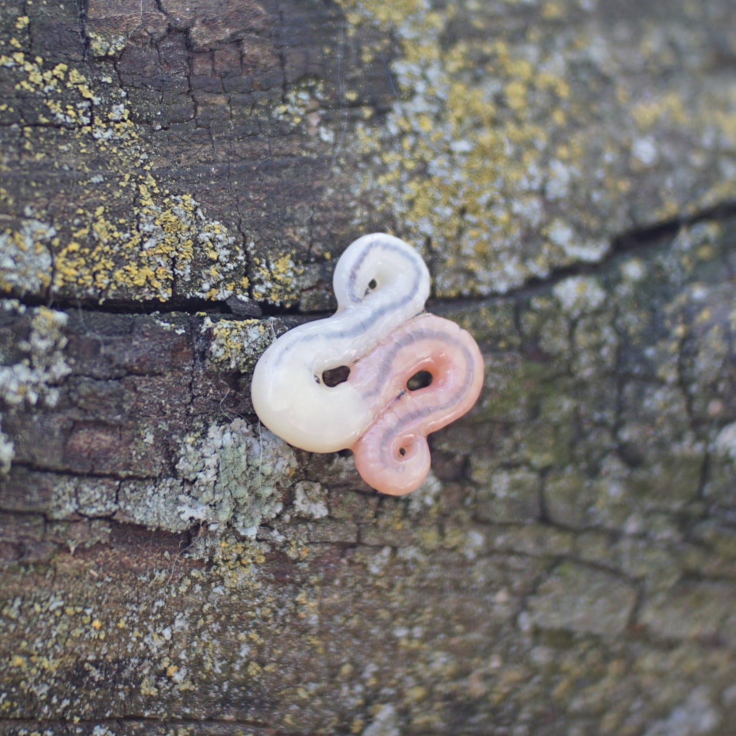 Worm Brooch (3 Styles)