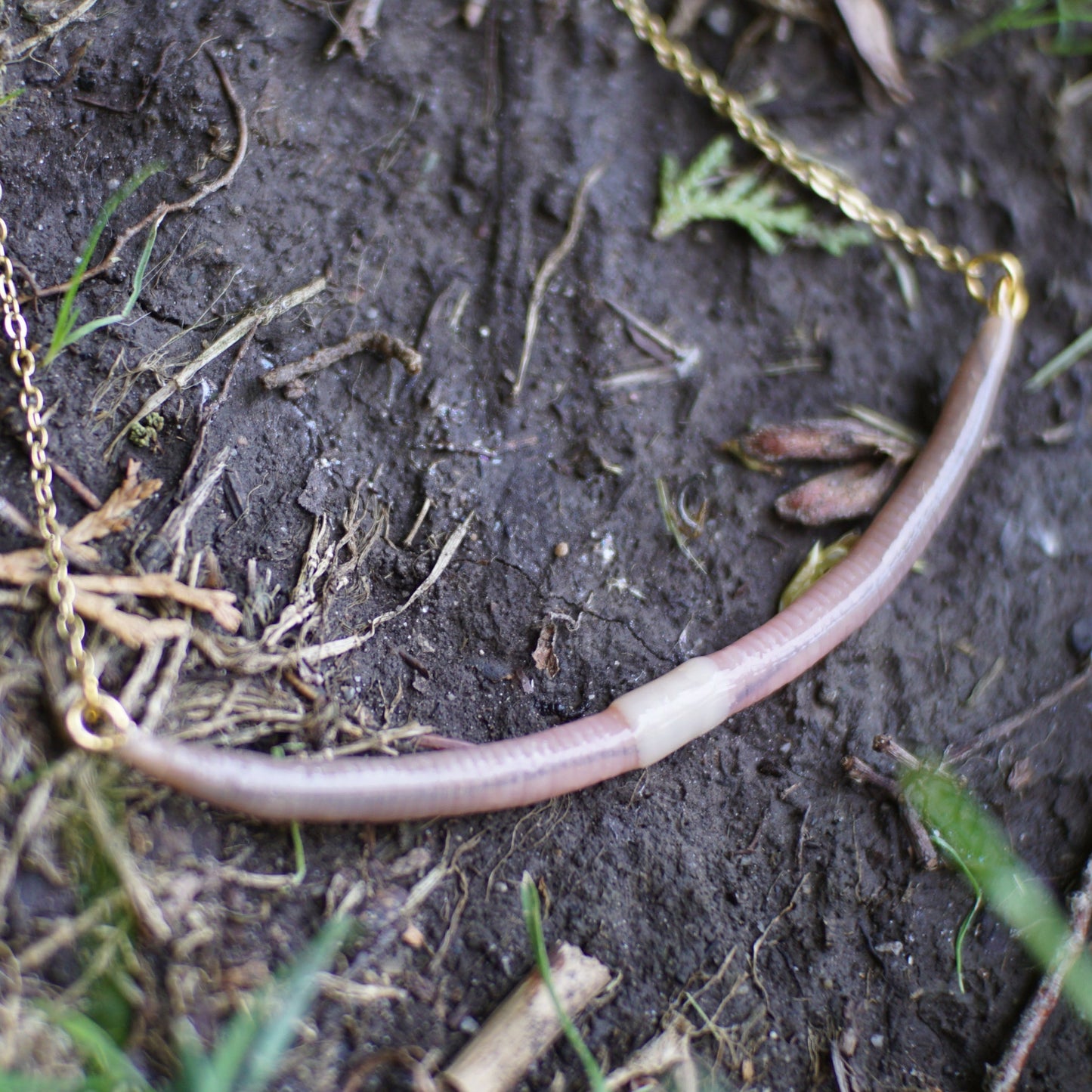 Long Worm Necklace (2 Styles)