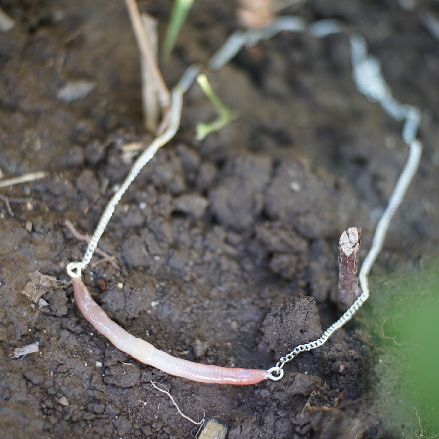 Long Worm Necklace (2 Styles)