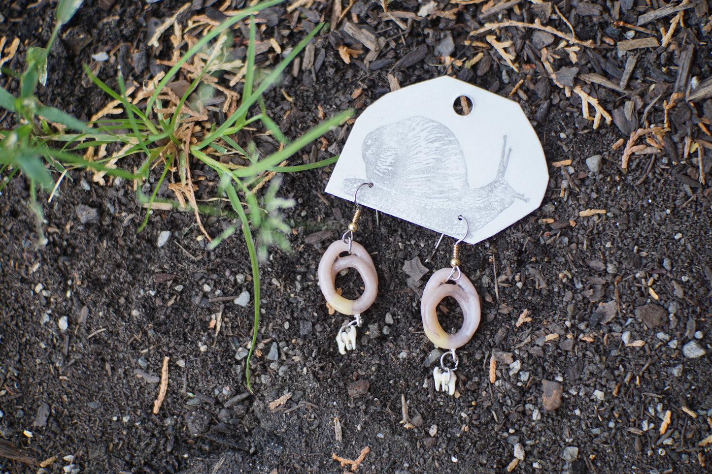 Tooth Worm Earrings 2