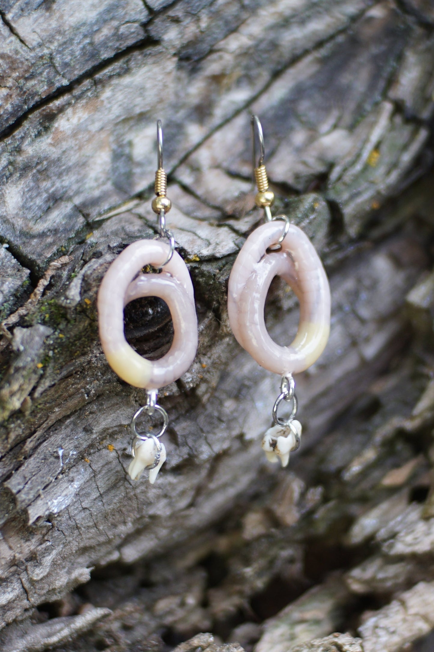 Tooth Worm Earrings 2